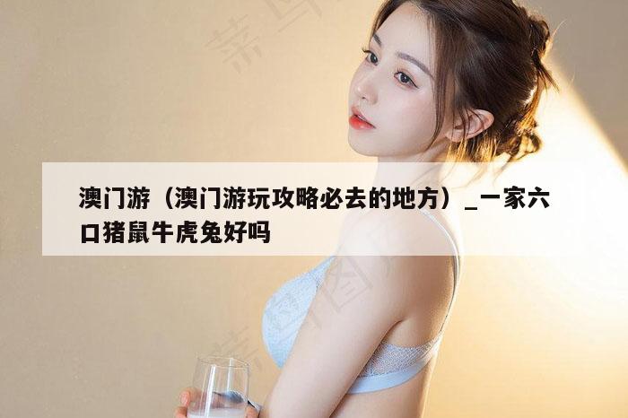 澳门游（澳门游玩攻略必去的地方）_新澳门六开彩资料大全网址